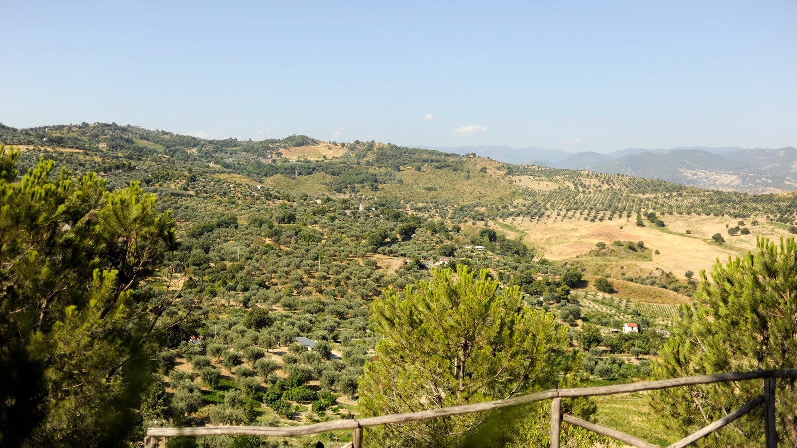 Calopezzati